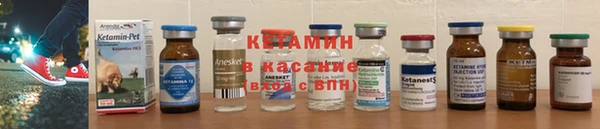 прущие грибы Покров