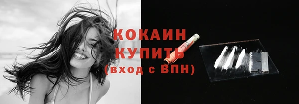 прущие грибы Покров