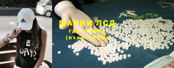 ешки Аркадак