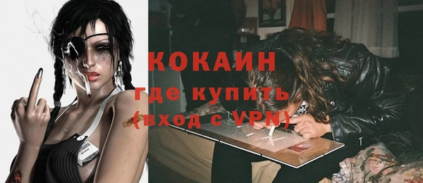ешки Аркадак